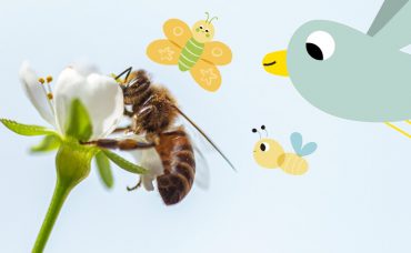 Las abejas para niños