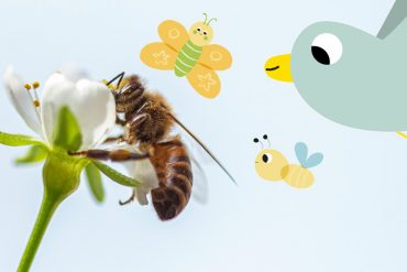 Las abejas para niños